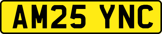AM25YNC