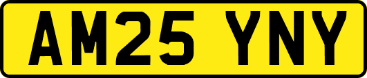 AM25YNY