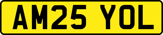 AM25YOL