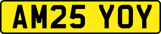 AM25YOY