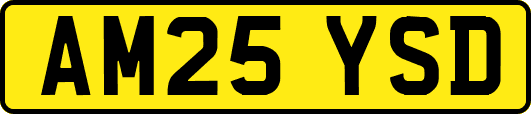 AM25YSD