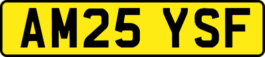 AM25YSF