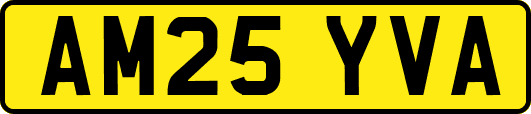AM25YVA