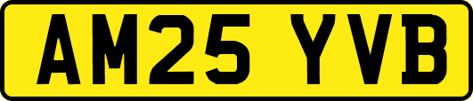 AM25YVB