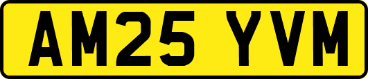 AM25YVM