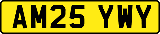 AM25YWY
