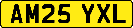 AM25YXL