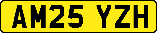 AM25YZH