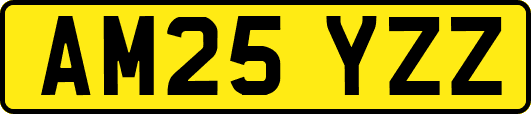 AM25YZZ