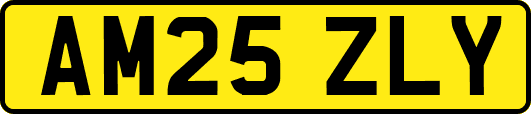 AM25ZLY