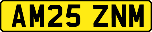 AM25ZNM
