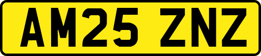 AM25ZNZ