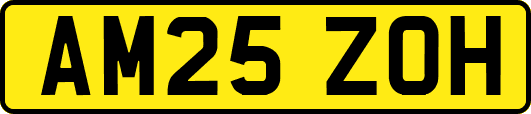 AM25ZOH