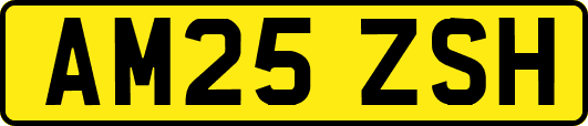 AM25ZSH