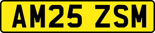 AM25ZSM
