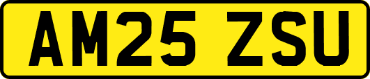 AM25ZSU