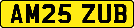 AM25ZUB