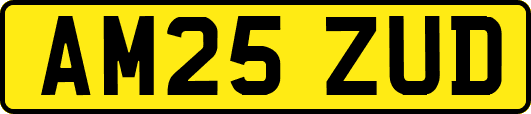 AM25ZUD