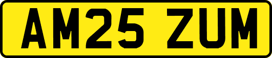 AM25ZUM