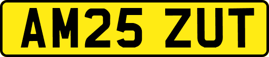 AM25ZUT