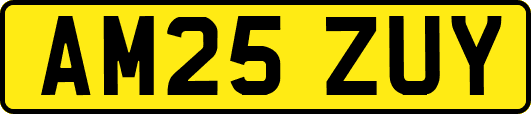 AM25ZUY