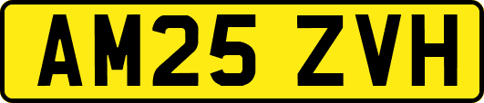AM25ZVH