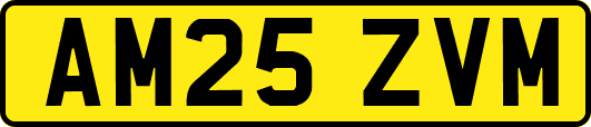 AM25ZVM