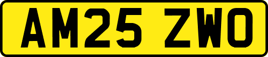 AM25ZWO