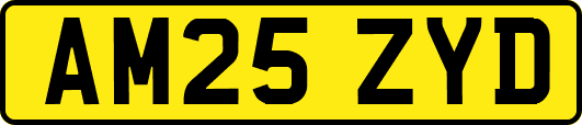 AM25ZYD