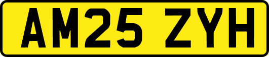 AM25ZYH