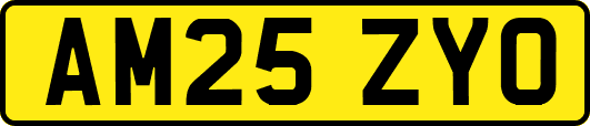 AM25ZYO