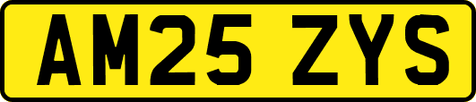 AM25ZYS