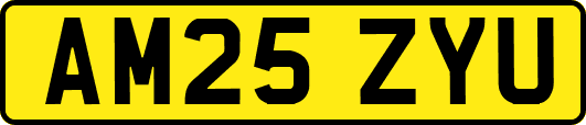 AM25ZYU