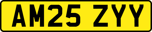 AM25ZYY