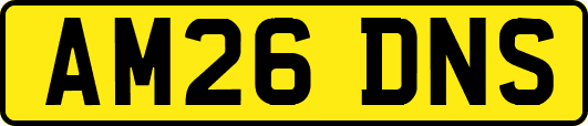 AM26DNS