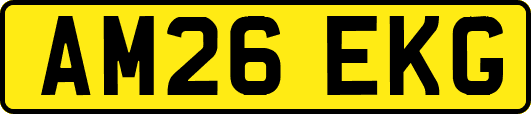 AM26EKG