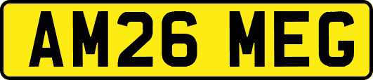 AM26MEG