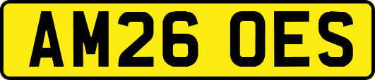 AM26OES