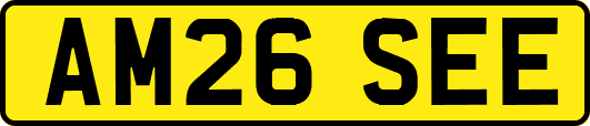AM26SEE