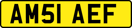 AM51AEF