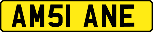 AM51ANE