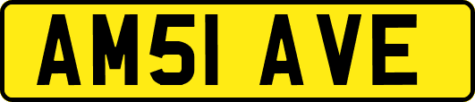 AM51AVE
