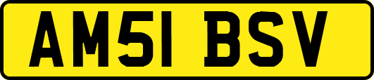 AM51BSV