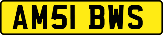 AM51BWS