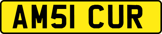 AM51CUR