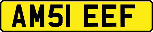 AM51EEF