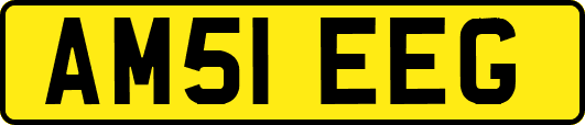 AM51EEG