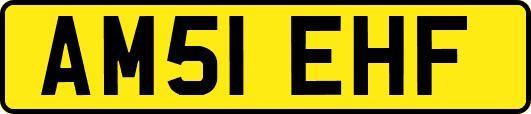 AM51EHF