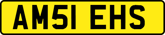 AM51EHS