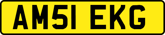 AM51EKG